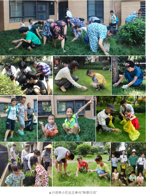 1628580605(1).jpg 1628580605(1).jpg